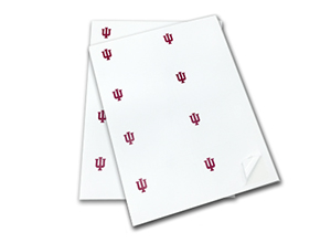 Block IU Labels example